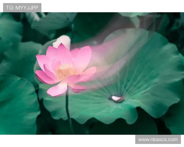 后滕久美子:静谧时光里的暗香浮动,探寻不被定义的美学力量